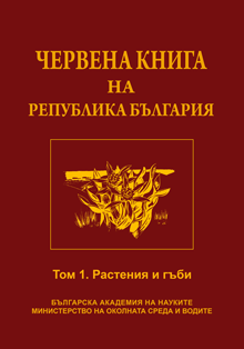 ��� 1. �������� � ����