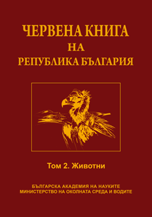 ��� 2. �������